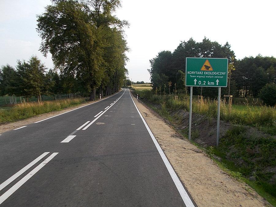 Daj żyć żabom i innym jeżom