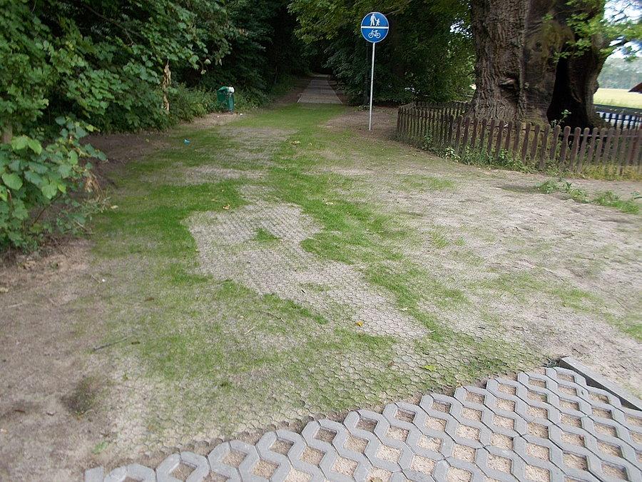 Kadyny - chodnik do ewentualnego wykorzystania dla rowerzystów. Nawierzchnia przy samym Dębie Bażyńskiego