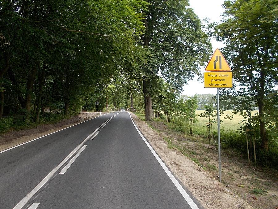 Jeszcze aleja kaszanowców