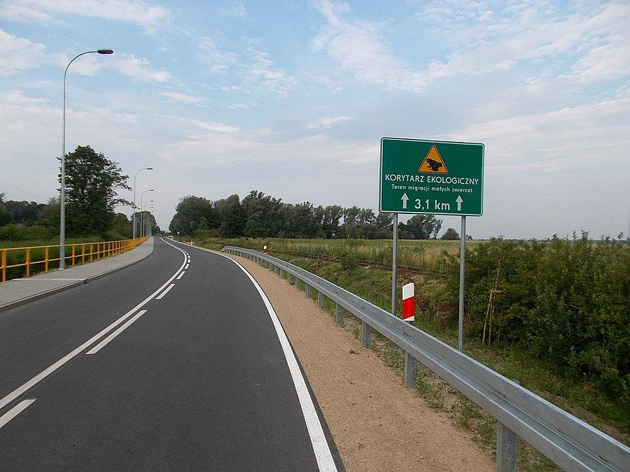 Trzy kilometry żab i innych stworzeń podążających ku Zalewowi Wiślanemu
