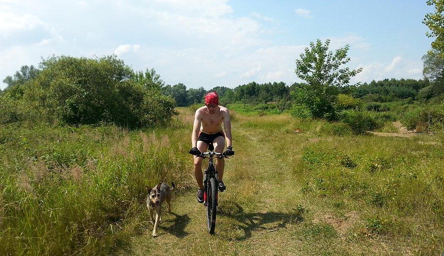 Nad Wartą