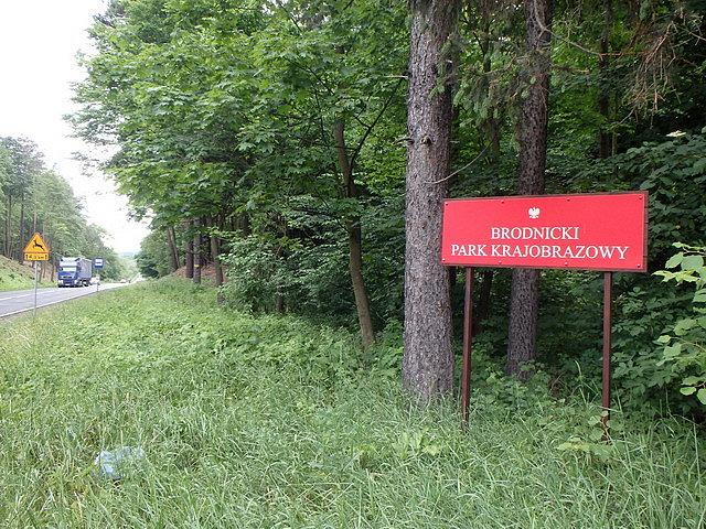 Na terenie Brodnickiego Parku Krajobrazowego
