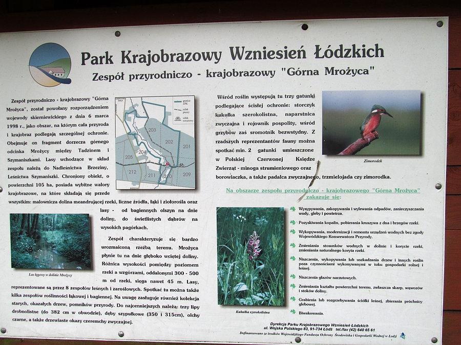 Górna Mrożyca