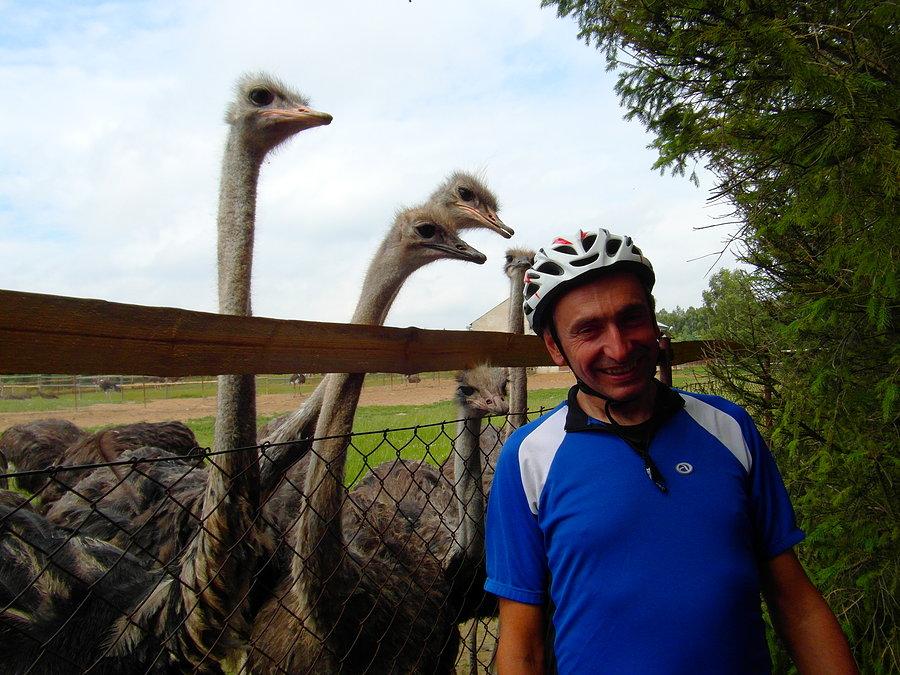 Czyżby kask wyglądał jak strusie jajo???