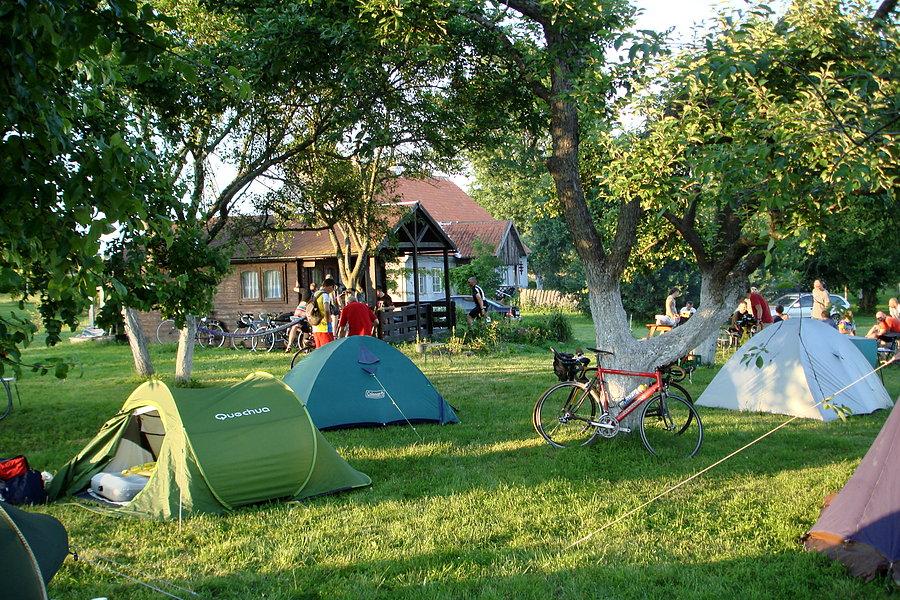 Świękitki - baza wyścigu
