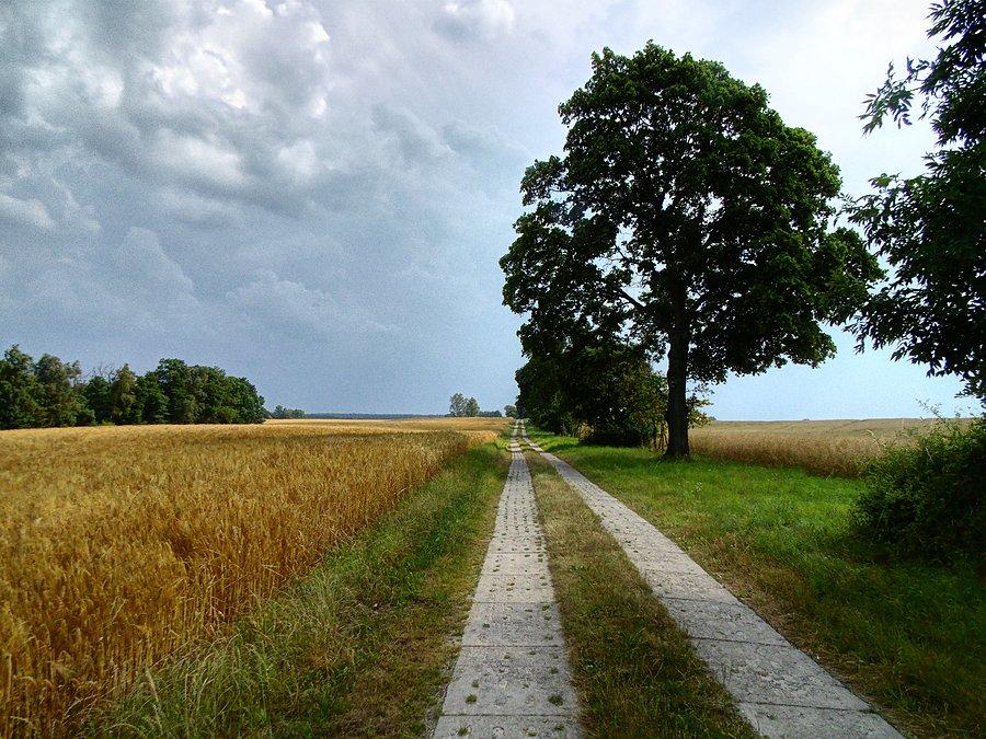 A dalej droga z płyt w prawo odbijająca