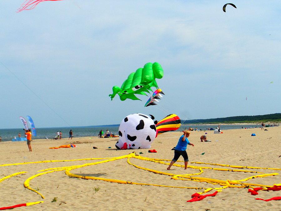 Festiwal latawców w Mikoszewie