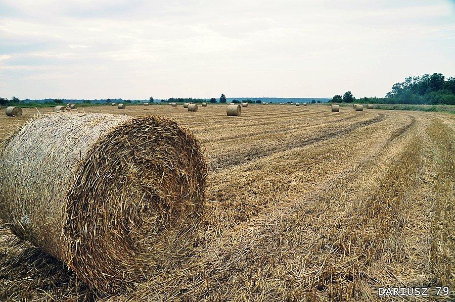 Uroki Bielczy