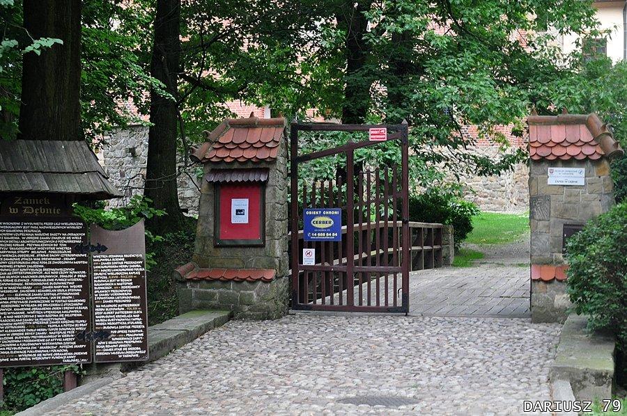 Zamek w Dębnie