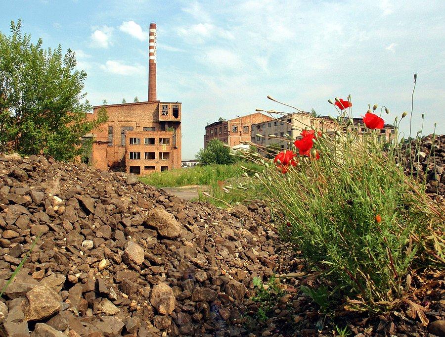 Zrujnowana papiernia w Kaletach