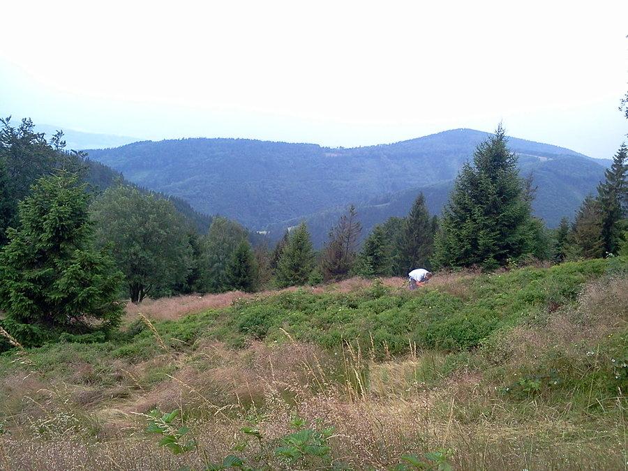 Zbieracze borówek i Kozubowa w tle