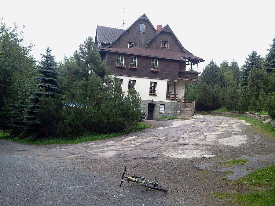 Koziniec