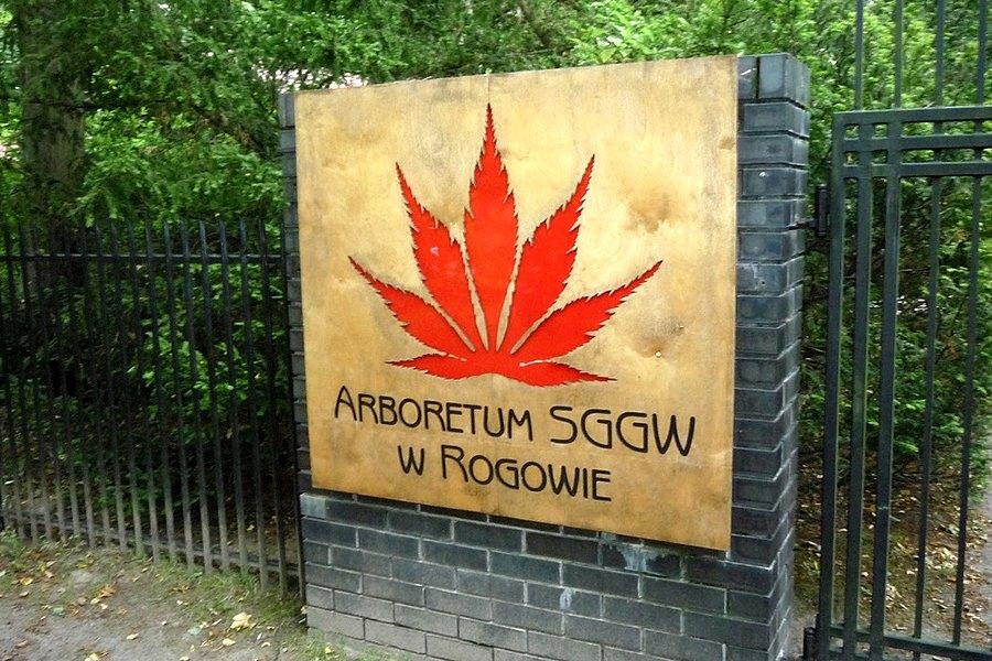 Arboretum w Rogowie
