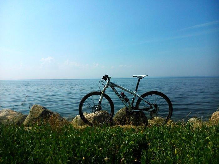 Scott nad zatoką Pucką