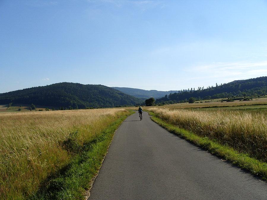 Droga na Starą Bystrzycę, uwielbiam ten widok, ile razy bym tędy nie jechał zdjęcie musi być, a przy okazji Ryjek w kadr wpadł ;)