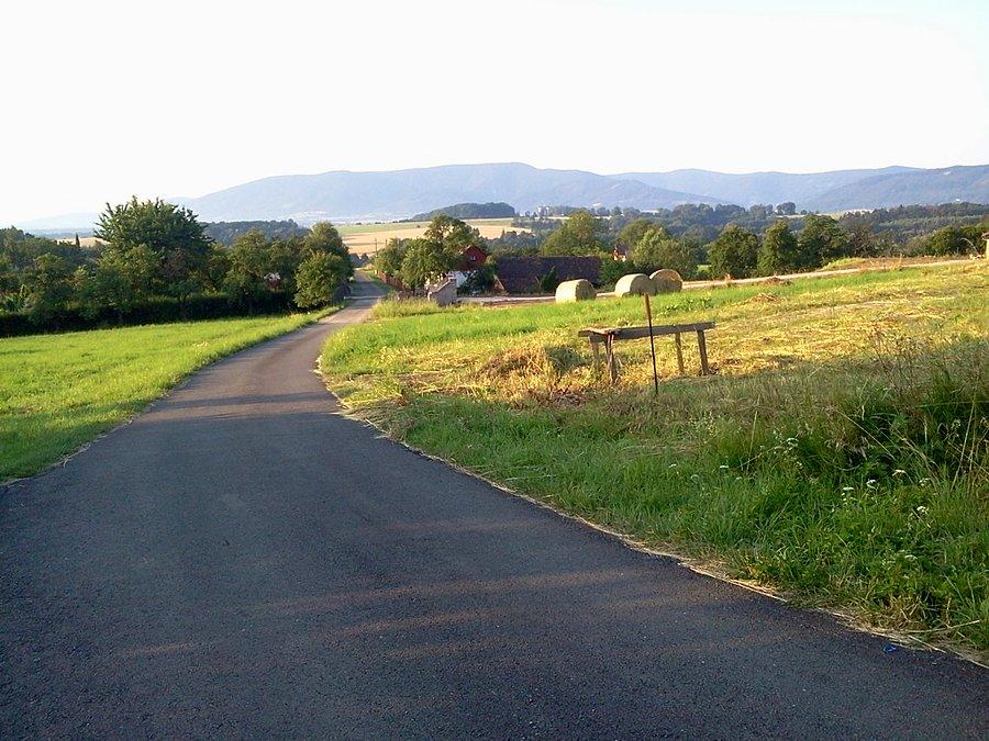 Widok na Jaworowy