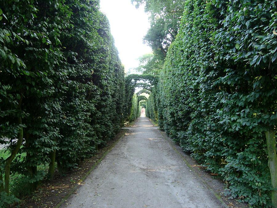 Park w Koźminie