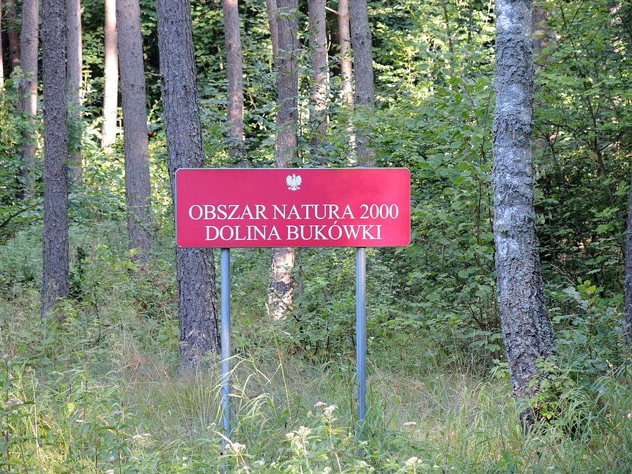 Obszar Natura 2000 - Dolina Bukówki / w kierunku na Człopę