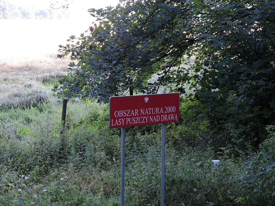 Obszar Natura 2000 - Lasy Puszczy Nad Drawą