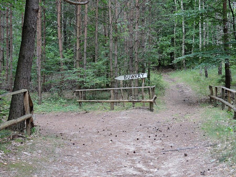 Ścieżka prowadząca do bunkrów