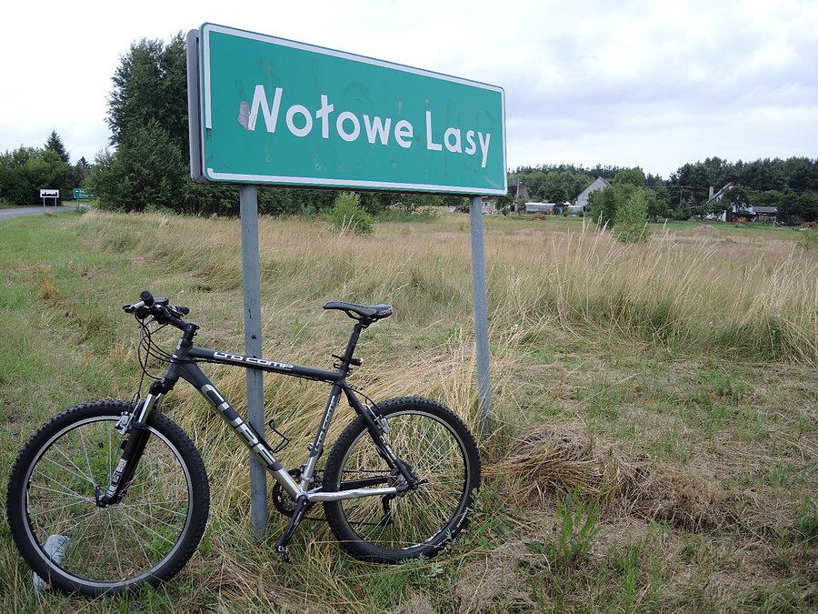 Wołowe Lasy na trasie do Trzcianki