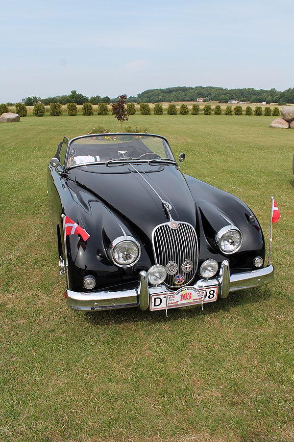 Mój faworyt jaguar