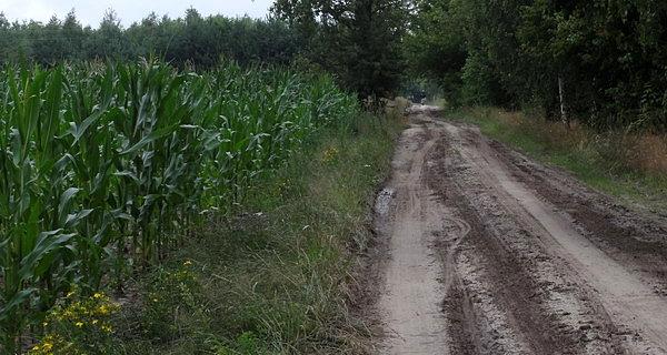 Z Burwina do Janówki
