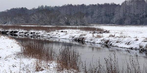 Rzeka Krzna