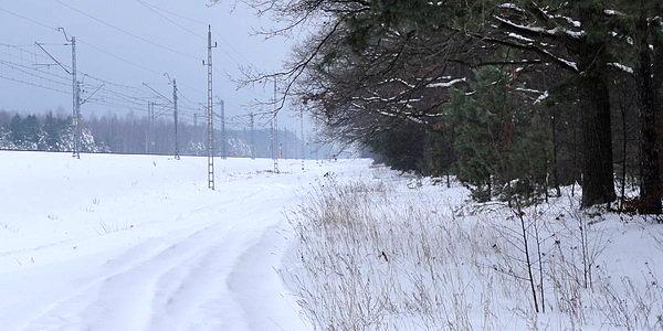 Pieszo z rowerem zasypaną śniegiem drogą na skraju lasu