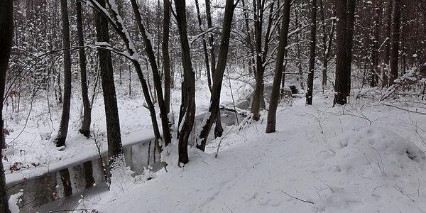 Rzeka Rudka