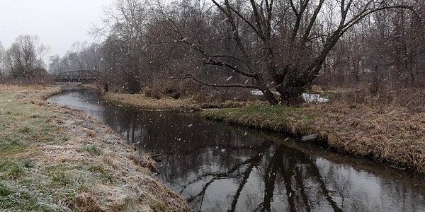 Pierwszy śnieg przy tamie na rzece Klukówka w Roskoszy
