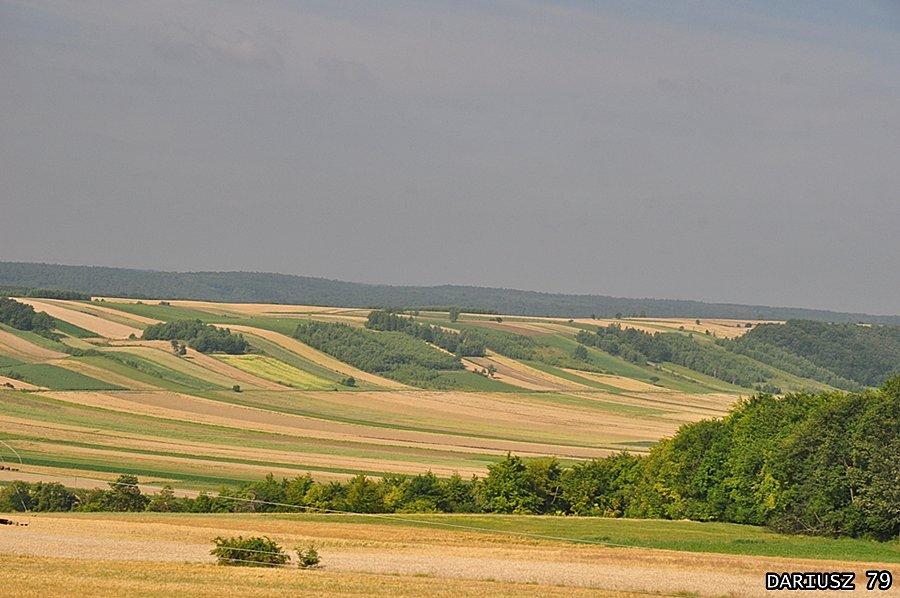 Widok z Wieży widokowa w Dosłońce