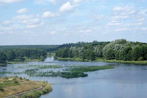 Łabędzi raj