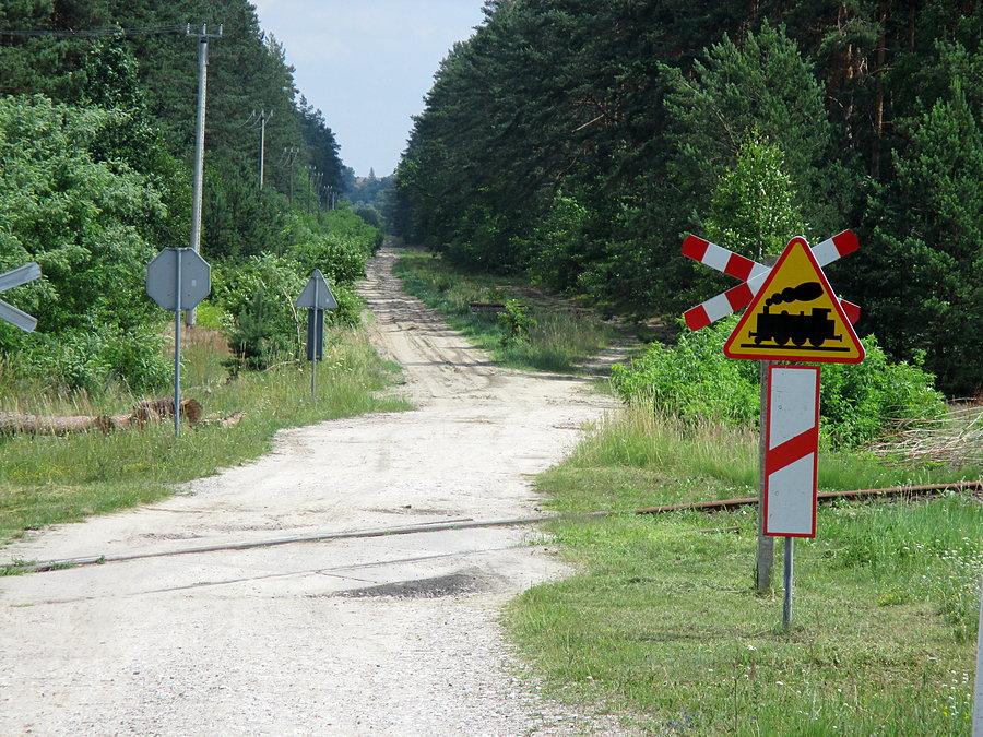 "Skrót" między Zwierzyńcem a Obroczem