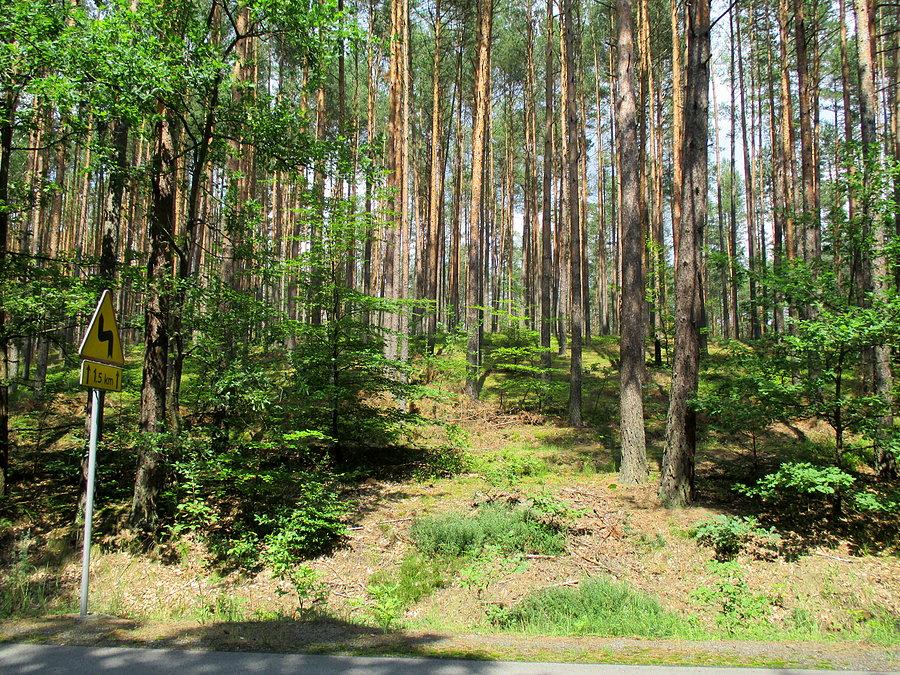 Roztoczański Park Narodowy