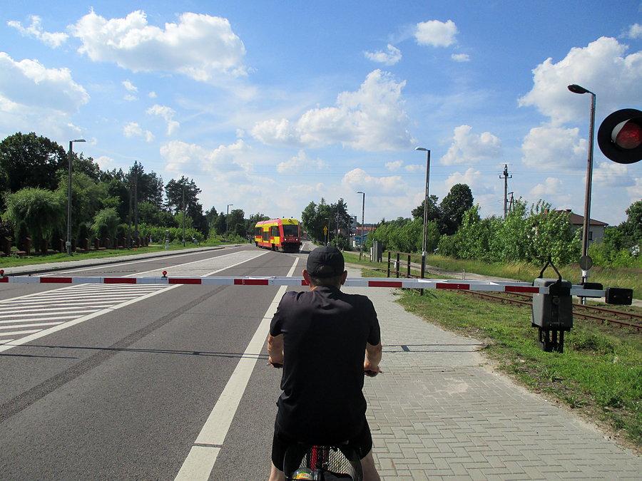 Żelazny koń w Bełżcu