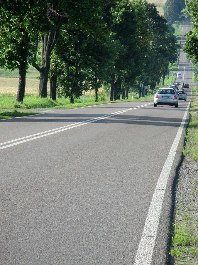 Hopki na trasie Tomaszów Lubelski-Zamość