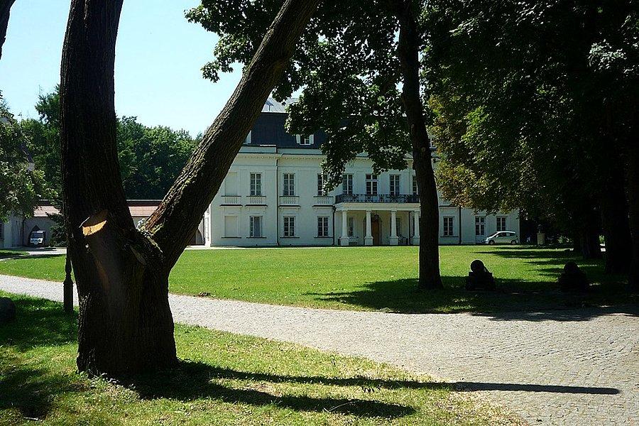 Radziejowice Pałac