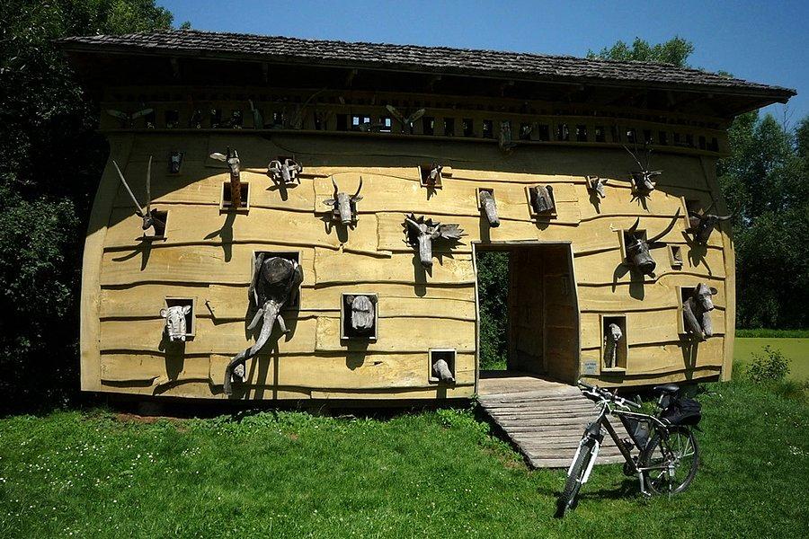 Arka Noego w Radziejowicach