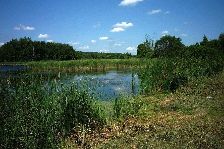 Grzegorzewice stawy