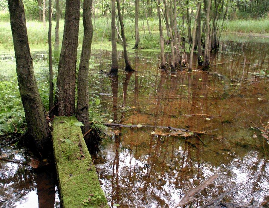 Źródła św. Floriana