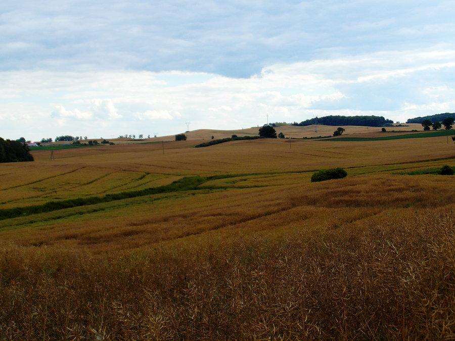 Uroki Kociewia