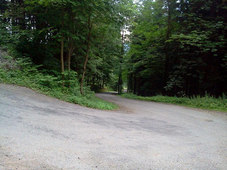 Podjazd do chaty Polanka