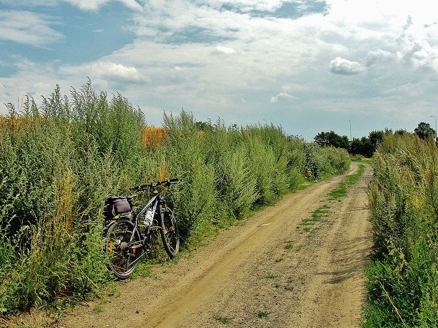 Na trasie wycieczki - okolice Tczewa