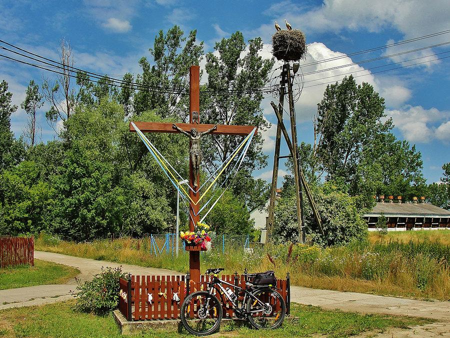 Na trasie wycieczki - okolice Tczewa