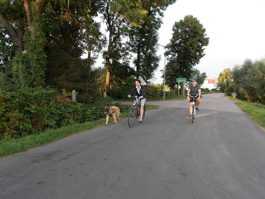 Rowerzyści z piesem