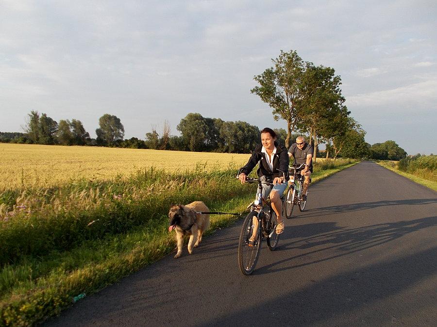Okazało się, że to Gypsy z piesem