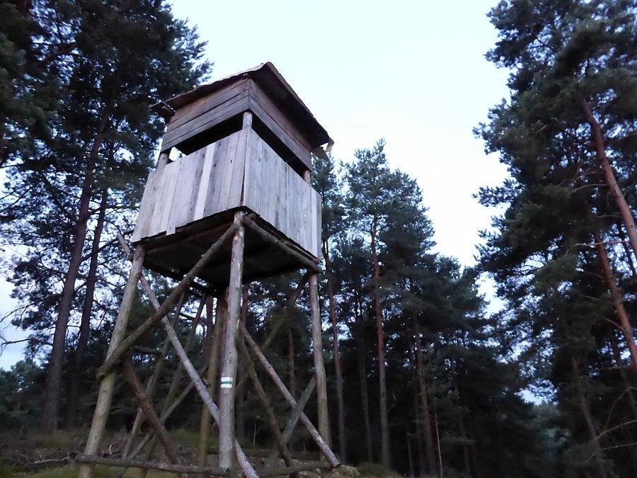 Przy zielonym szlaku