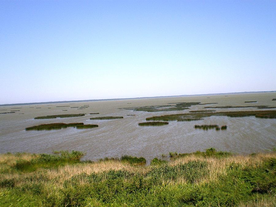 Widoki Jezioro Gardno