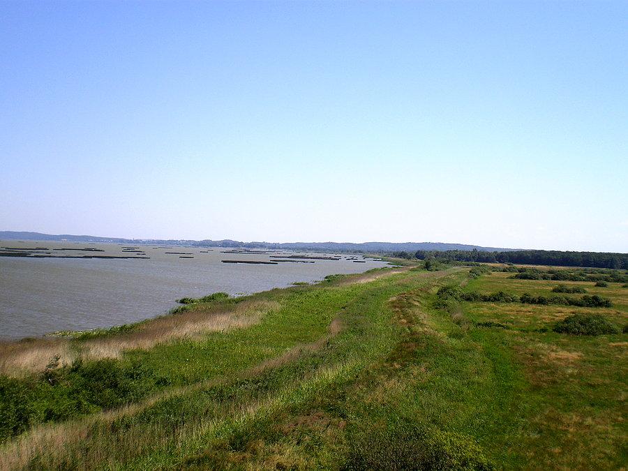 Widoki